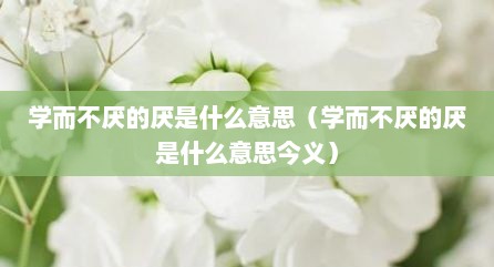 学耐不厌的厌是什么意思（学耐不厌的厌是什么意思今义）