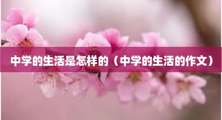 中学的生活是怎样的（中学的生活的作文）