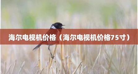 海尔电视机价格（海尔电视机价格75寸）
