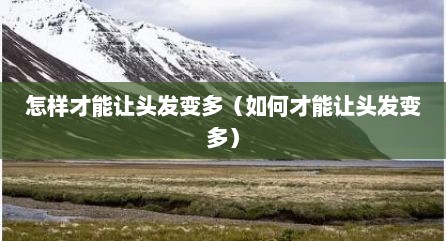 怎样才能让头发变多（如何才能让头发变多）