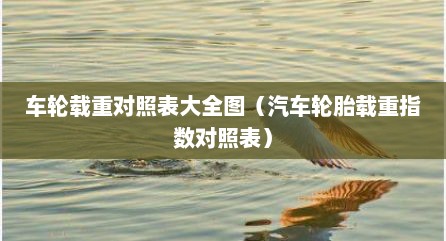 车轮载重对照表大全图（汽车轮胎载重指数对照表）