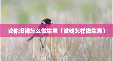 教你没钱怎么做生意（没钱怎样做生意）
