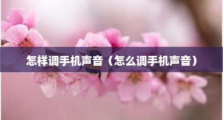 怎样调手机声音（怎么调手机声音）