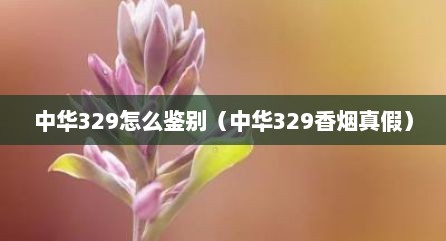 中华329怎么鉴别（中华329香烟真假）