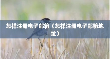 怎样注册电子邮箱（怎样注册电子邮箱地址）