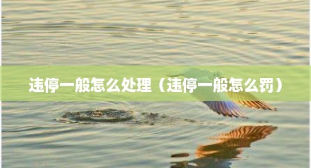违停一般怎么处理（违停一般怎么罚）