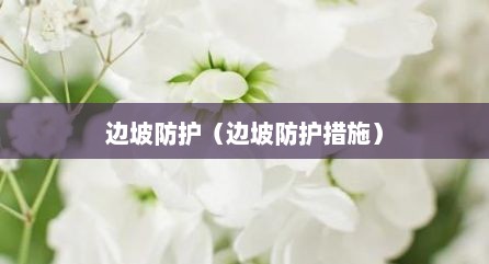 边坡防护（边坡防护措施）