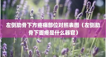 左侧肋骨下方疼痛部位对照表图（左侧肋骨下面疼是什么器官）