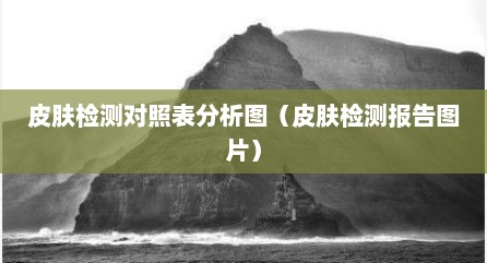 皮肤检测对照表分析图（皮肤检测报告图片）
