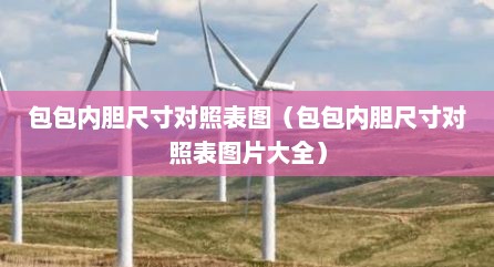包包内胆尺寸对照表图（包包内胆尺寸对照表图片大全）