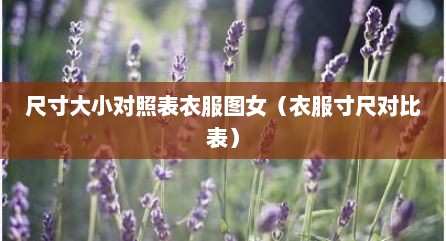 尺寸大小对照表衣服图女（衣服寸尺对比表）