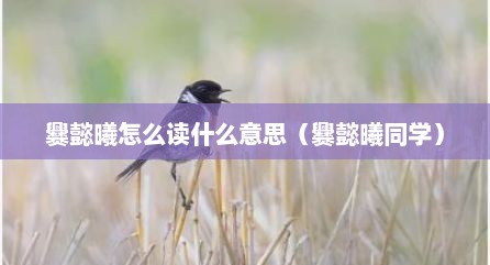 爨懿曦怎么读什么意思（爨懿曦同学）