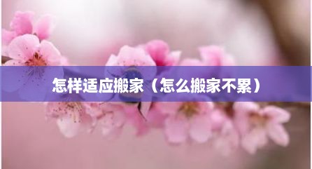 怎样适应搬家（怎么搬家不累）