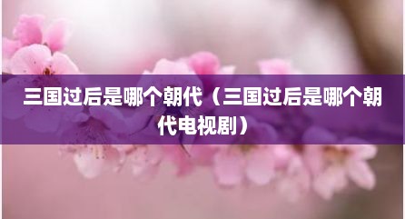 三国过后是哪个朝代（三国过后是哪个朝代电视剧）