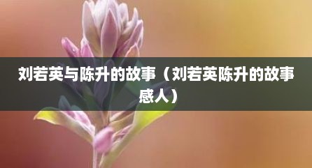 刘若英与陈升的故事（刘若英陈升的故事 感人）