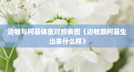 边牧与柯基体重对照表图（边牧跟柯基生出来什么样）