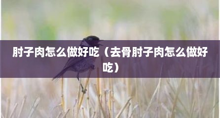 肘子肉怎么做好吃（去骨肘子肉怎么做好吃）