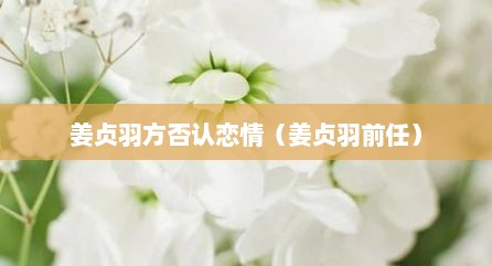 姜贞羽方否认恋情（姜贞羽前任）