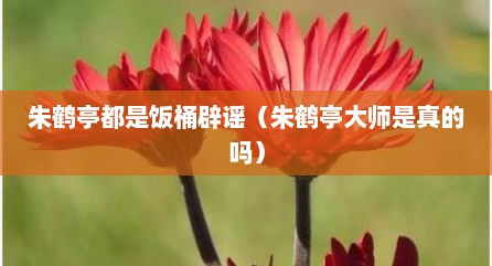 朱鹤亭都是饭桶辟谣（朱鹤亭大师是真的吗）