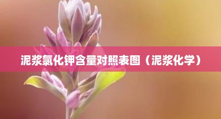 泥浆氯化钾含量对照表图（泥浆化学）