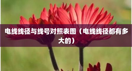 电线线径与线号对照表图（电线线径都有多大的）