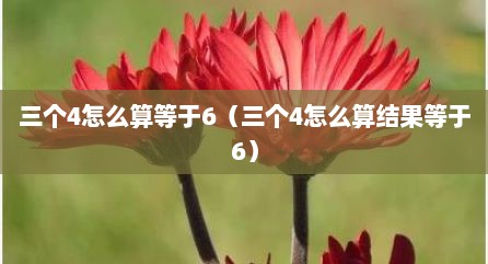 三个4怎么算等于6（三个4怎么算结果等于6）