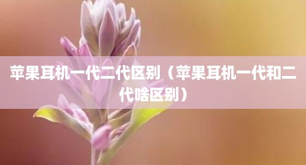 苹果耳机一代二代区别（苹果耳机一代和二代啥区别）