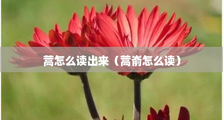 蒿怎么读出来（蒿嵛怎么读）