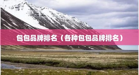 包包品牌排名（各种包包品牌排名）