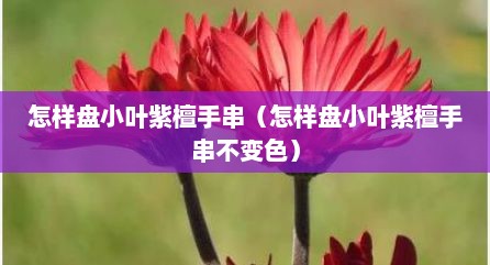 怎样盘小叶紫檀手串（怎样盘小叶紫檀手串不变色）