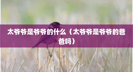 太爷爷是爷爷的什么（太爷爷是爷爷的爸爸吗）