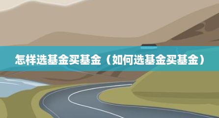 怎样选基金买基金（如何选基金买基金）