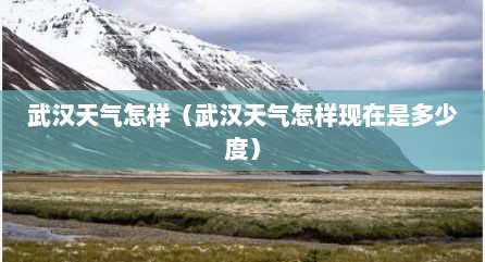 武汉天气怎样（武汉天气怎样现在是多少度）