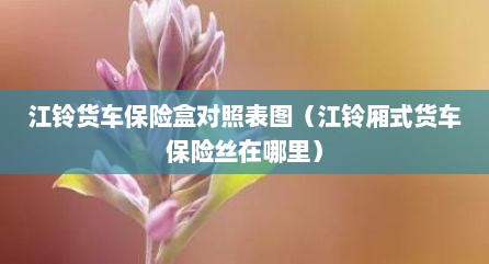 江铃货车保险盒对照表图（江铃厢式货车保险丝在哪里）