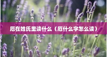 厄在姓氏里读什么（厄什么字怎么读）