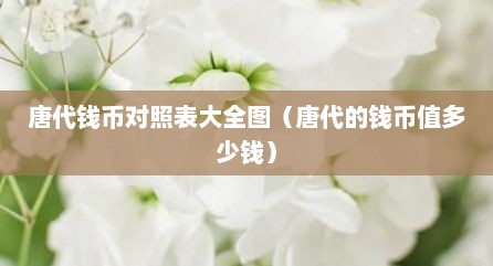 唐代钱币对照表大全图（唐代的钱币值多少钱）
