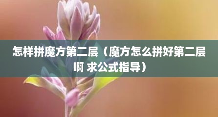 怎样拼魔方第二层（魔方怎么拼好第二层啊 求公式指导）