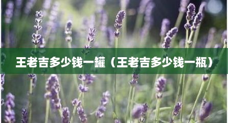 王老吉多少钱一罐（王老吉多少钱一瓶）