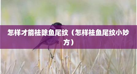 怎样才能祛除鱼尾纹（怎样祛鱼尾纹小妙方）