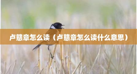 卢戆章怎么读（卢戆章怎么读什么意思）