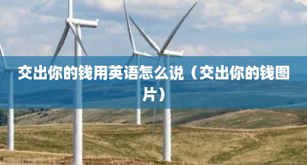 交出你的钱用英语怎么说（交出你的钱图片）