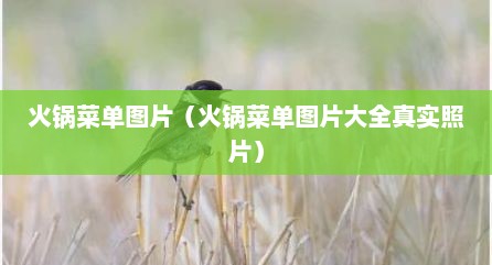 火锅菜单图片（火锅菜单图片大全真实照片）