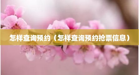 怎样查询预约（怎样查询预约抢票信息）