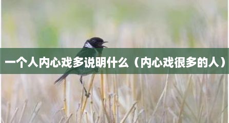 一个人内心戏多说明什么（内心戏很多的人）