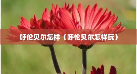 呼伦贝尔怎样（呼伦贝尔怎样玩）