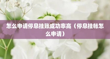 怎么申请停息挂账成功率高（停息挂帐怎么申请）