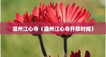 温州江心寺（温州江心寺开放时间）