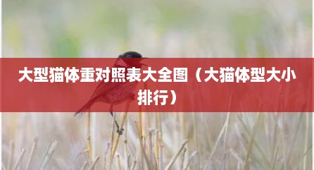 大型猫体重对照表大全图（大猫体型大小排行）