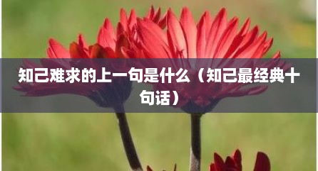 知己难求的上一句是什么（知己最经典十句话）