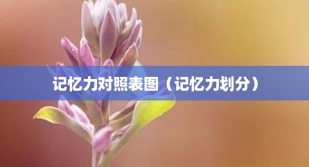 记忆力对照表图（记忆力划分）